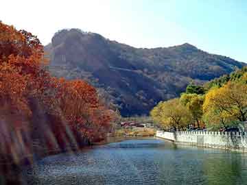 管家婆黑白马报图库，天涯论坛首页